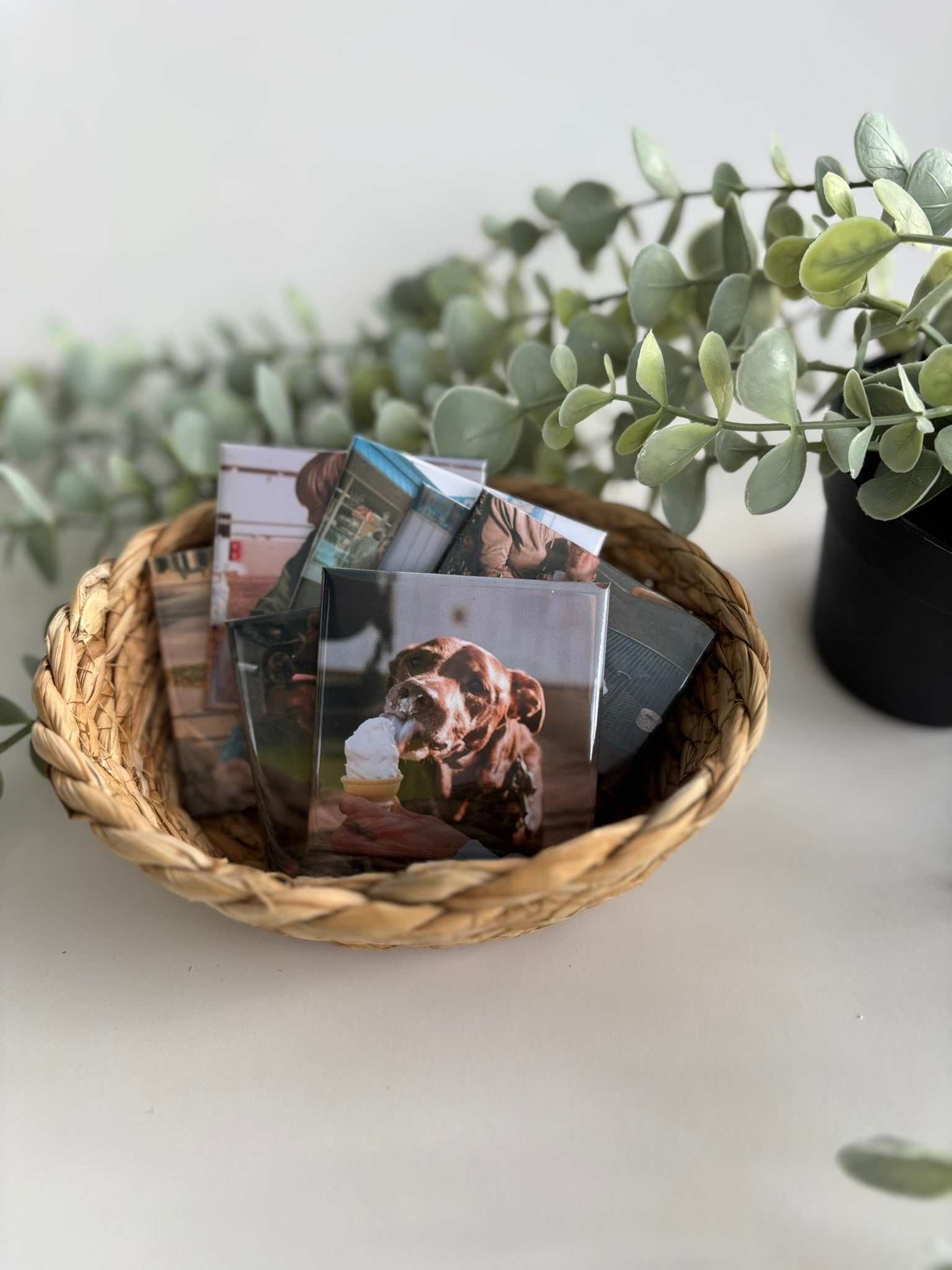 custom pet photo magnets for pet lovers