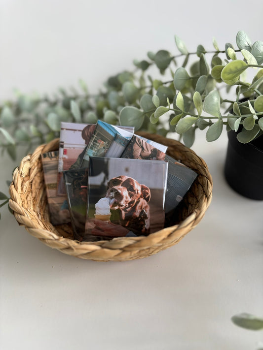 custom pet photo magnets for pet lovers