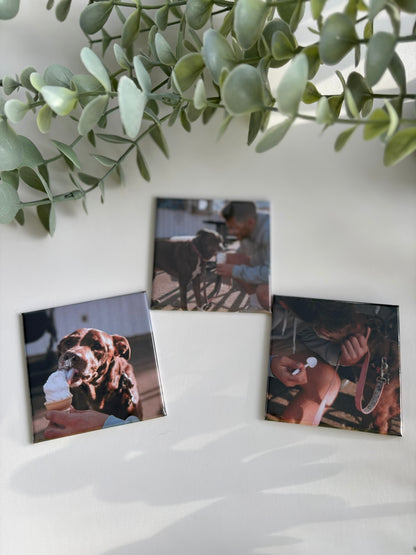 Three magnet prints of people and a dog on a white surface with green leaves above.
