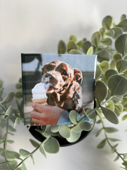 Fridge magnet with a dog eating ice cream held by a hand, surrounded by green leaves.